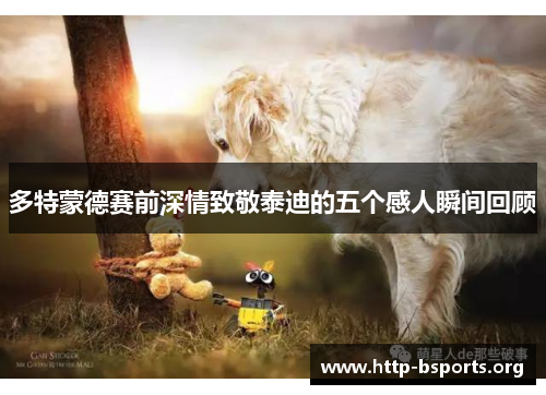 多特蒙德赛前深情致敬泰迪的五个感人瞬间回顾