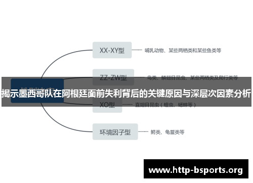揭示墨西哥队在阿根廷面前失利背后的关键原因与深层次因素分析